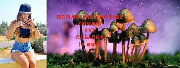 герыч Алексин