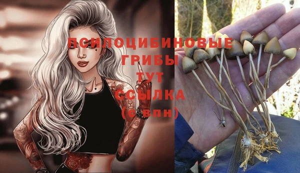 герыч Алексин