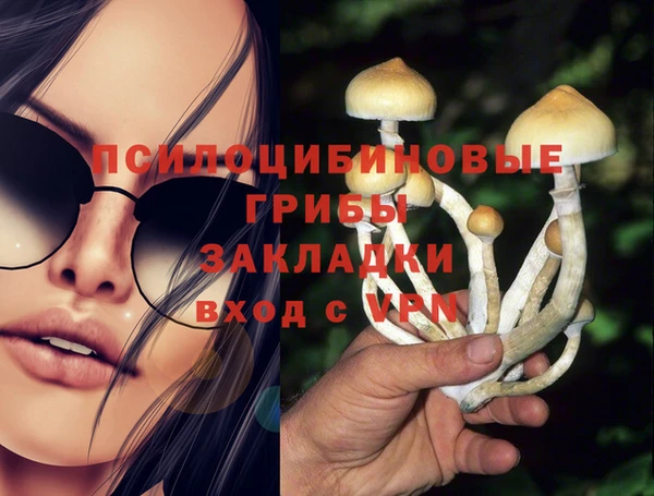spice Алзамай