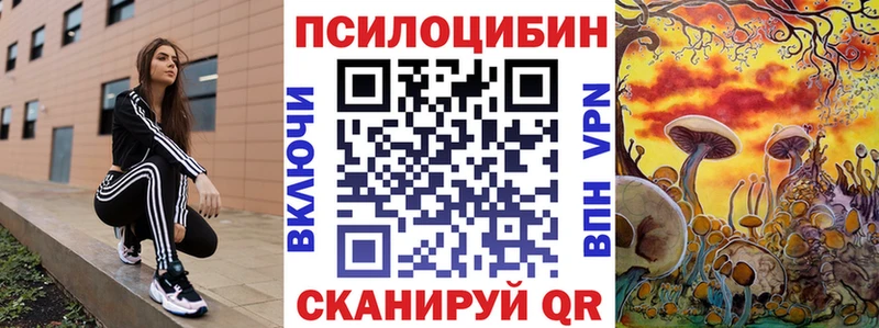 Галлюциногенные грибы Psilocybe  продажа наркотиков  Кондопога 